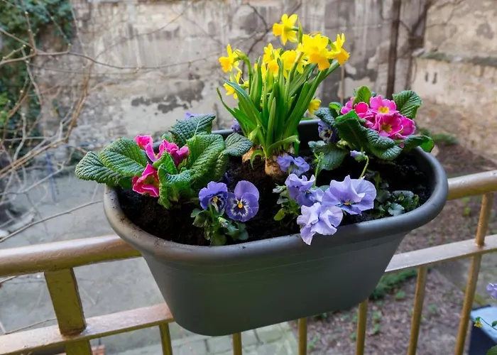 Golden Eye بودابست