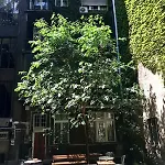 Golden Eye Apartament Budapesta